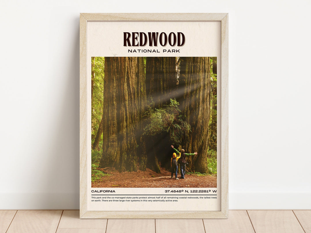Redwood National Park, state parks, ancient redwoods, travel poster print, Redwood art, Fern Canyon, Prairie Creek Redwoods State Park, Redwood wall art, Mendocino, Arcata, coastal towns, Redwood artwork, California poster