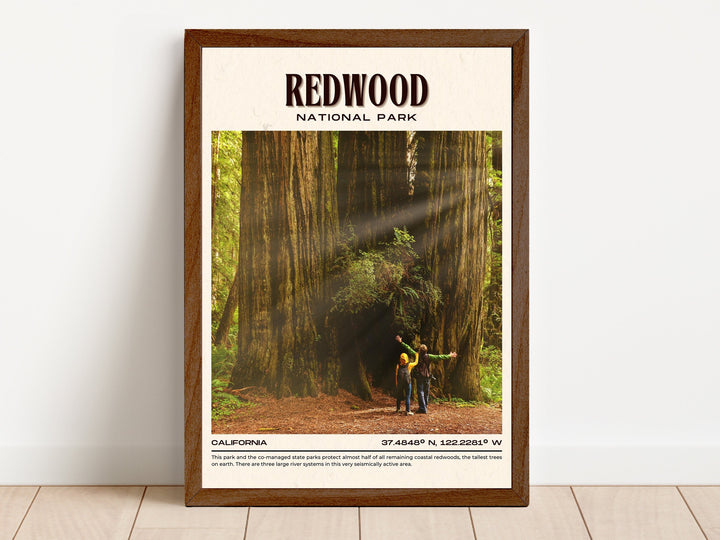 Redwood National Park Vintage Wall Art, California, USA