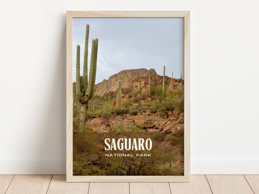 Saguaro National Park Retro Wall Art, Arizona, USA