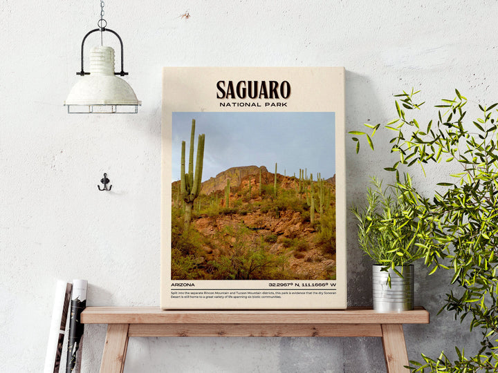 Saguaro National Park Vintage Wall Art, Arizona, USA