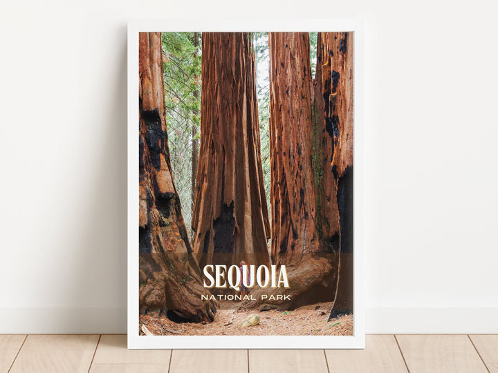 Sequoia National Park Retro Wall Art, California, USA