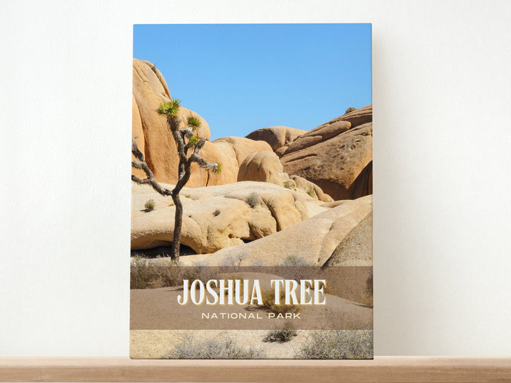 Joshua Tree National Park Retro Wall Art, California, USA
