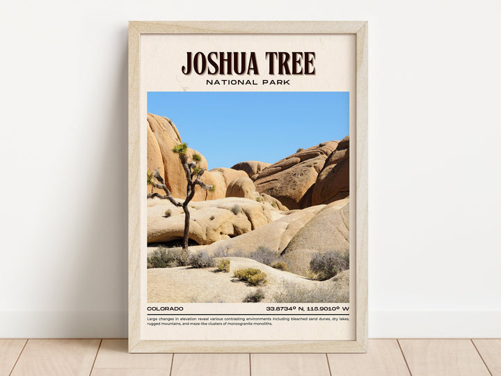 Joshua Tree National Park Vintage Wall Art, California, USA