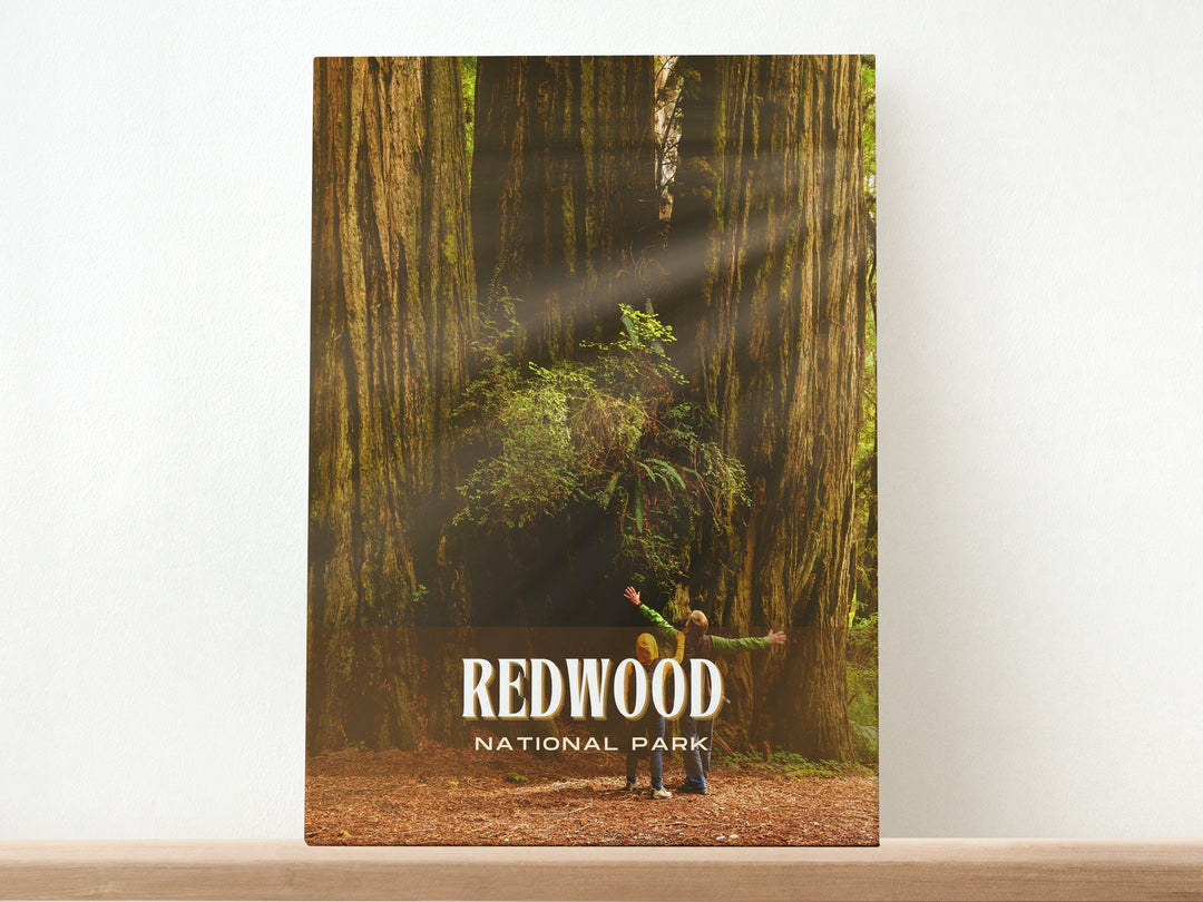 Redwood National Park Retro Wall Art, California, USA