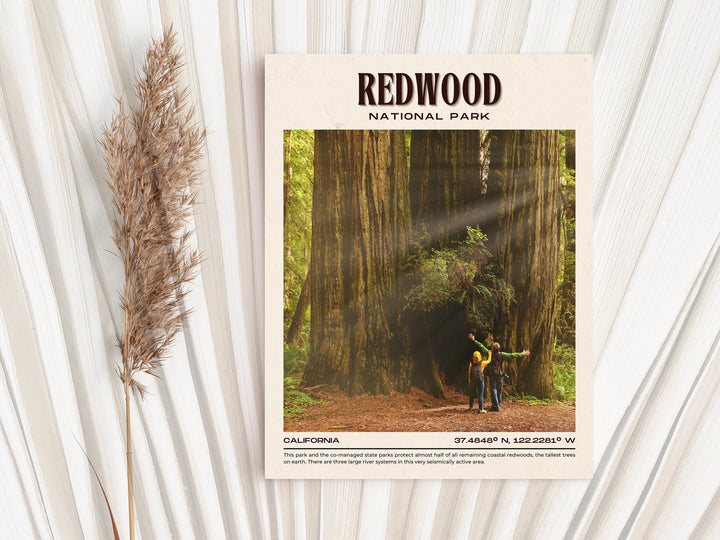 Redwood National Park Vintage Wall Art, California, USA
