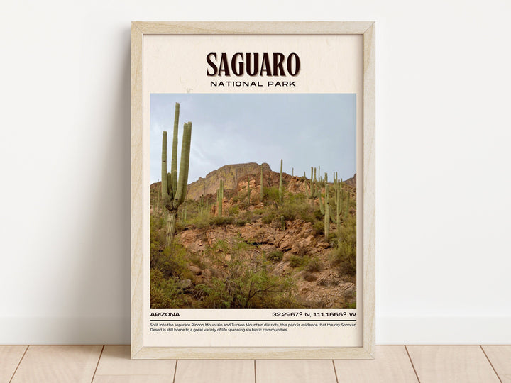 Saguaro National Park Vintage Wall Art, Arizona, USA