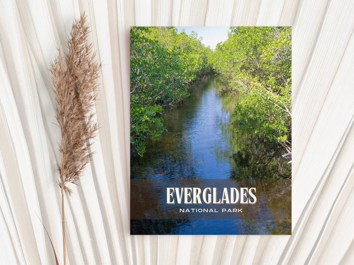 Everglades National Park Retro Wall Art, Florida, USA