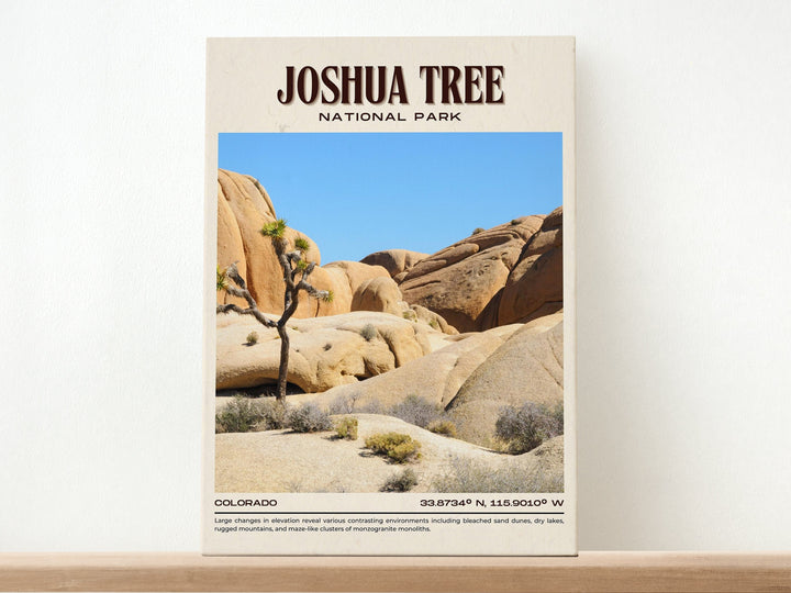 Joshua Tree National Park Vintage Wall Art, California, USA